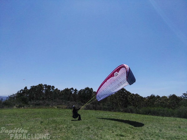 Paragliding_Suedafrika_FN5.17-325.jpg
