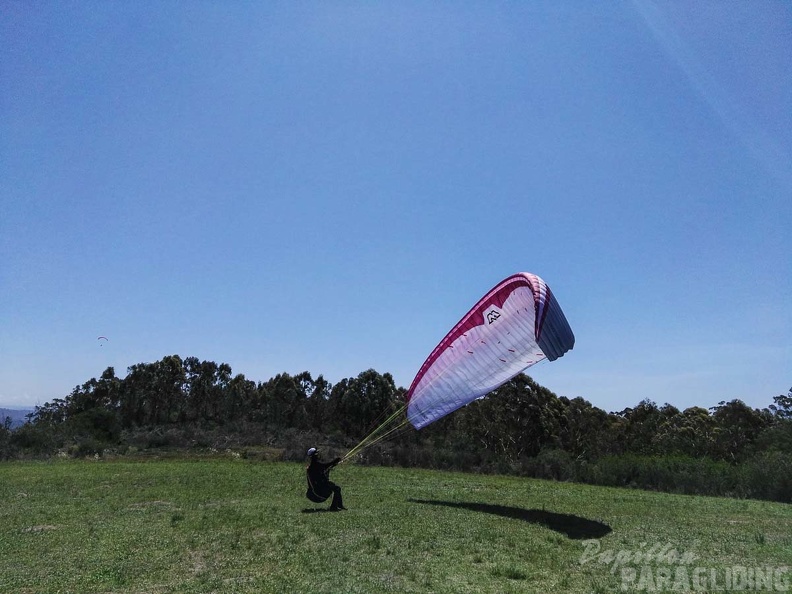 Paragliding Suedafrika FN5.17-325