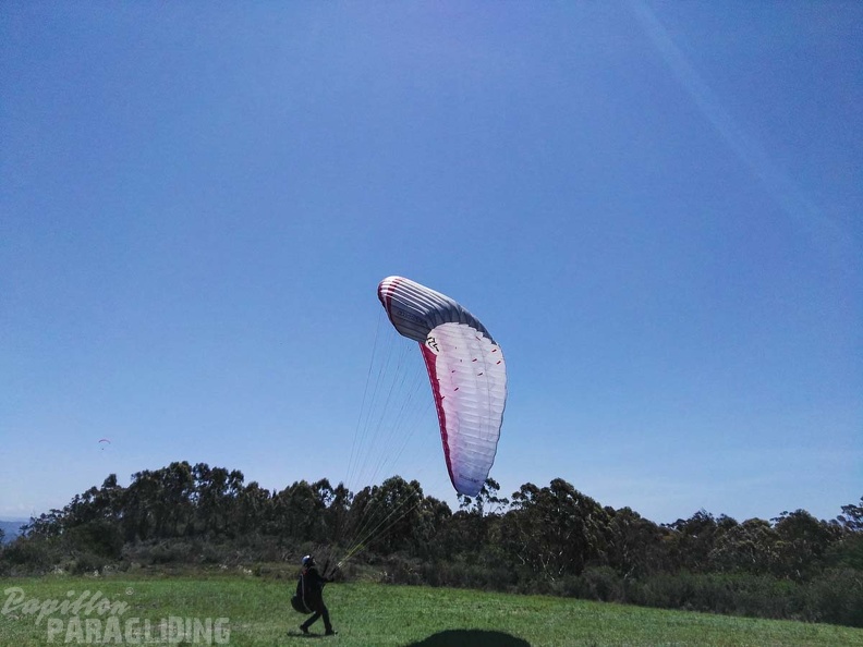 Paragliding_Suedafrika_FN5.17-326.jpg