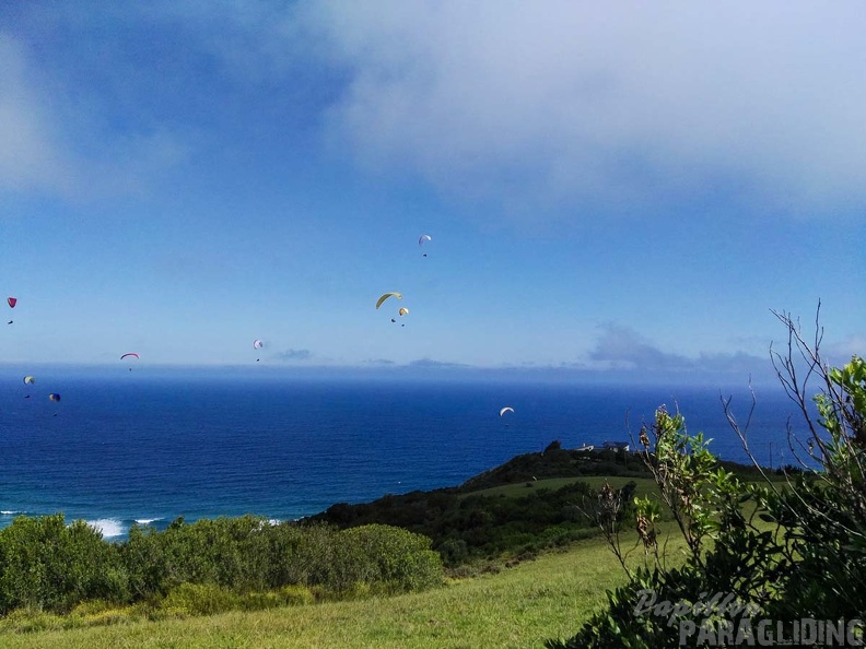 Paragliding_Suedafrika_FN5.17-334.jpg