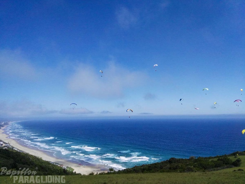 Paragliding Suedafrika FN5.17-335