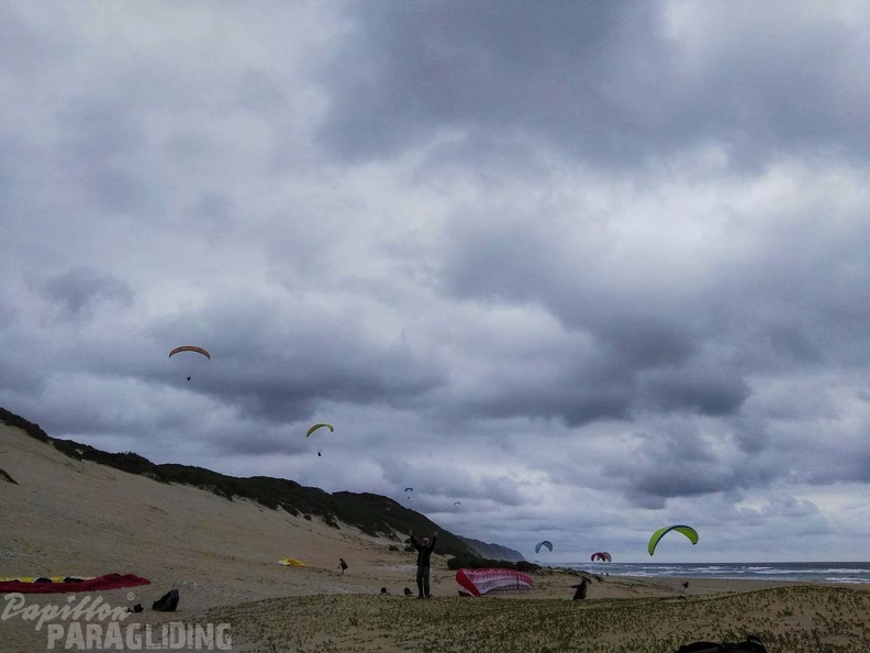 Paragliding Suedafrika FN5.17-394