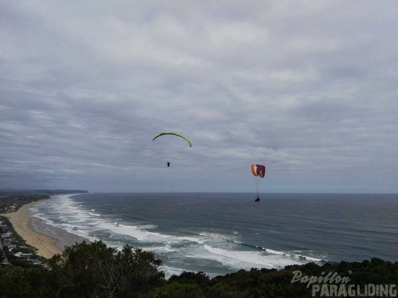 Paragliding Suedafrika FN5.17-406