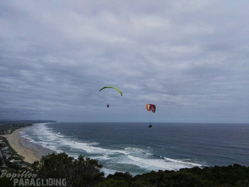 Paragliding Suedafrika FN5.17-407