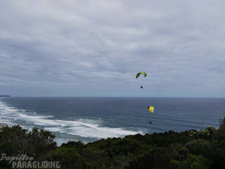 Paragliding Suedafrika FN5.17-409