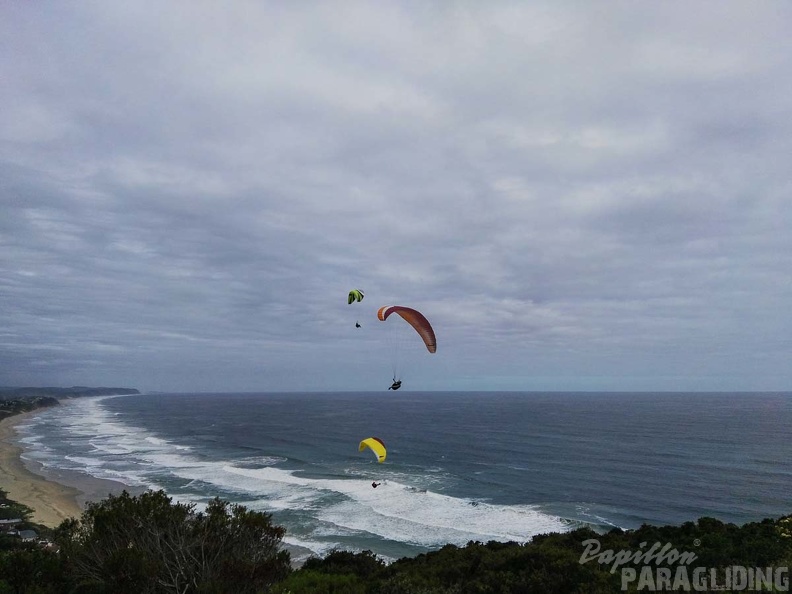 Paragliding Suedafrika FN5.17-411