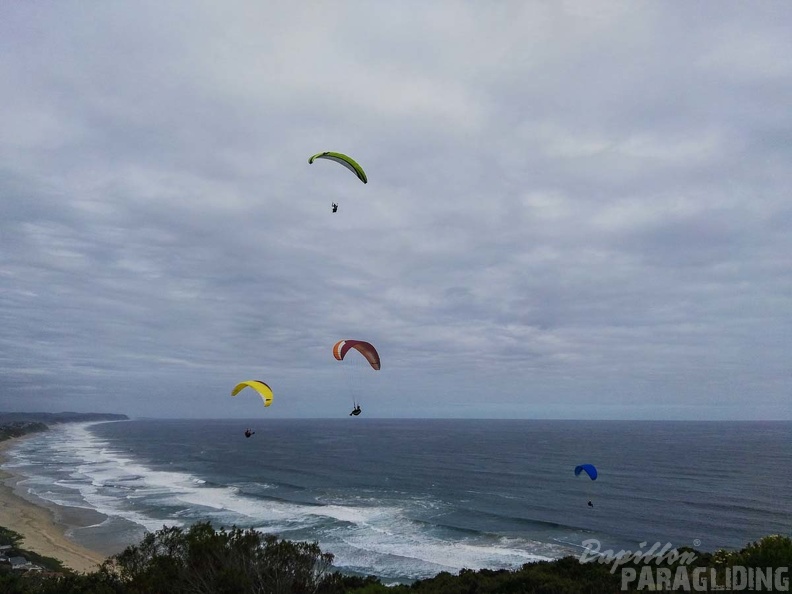 Paragliding Suedafrika FN5.17-413