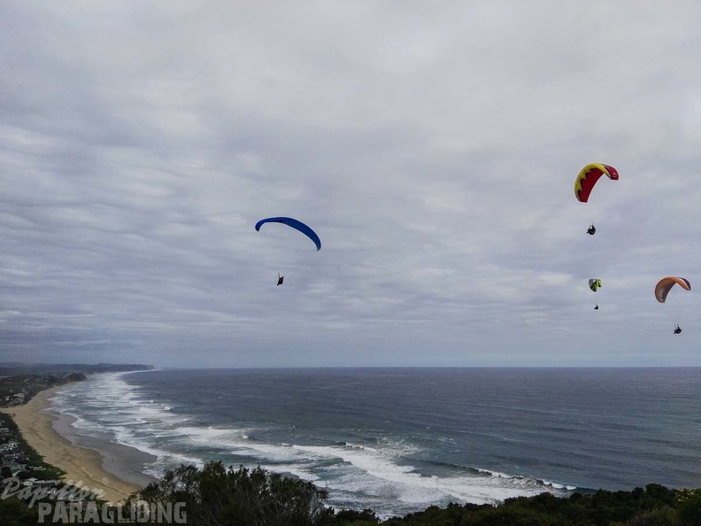Paragliding Suedafrika FN5.17-416