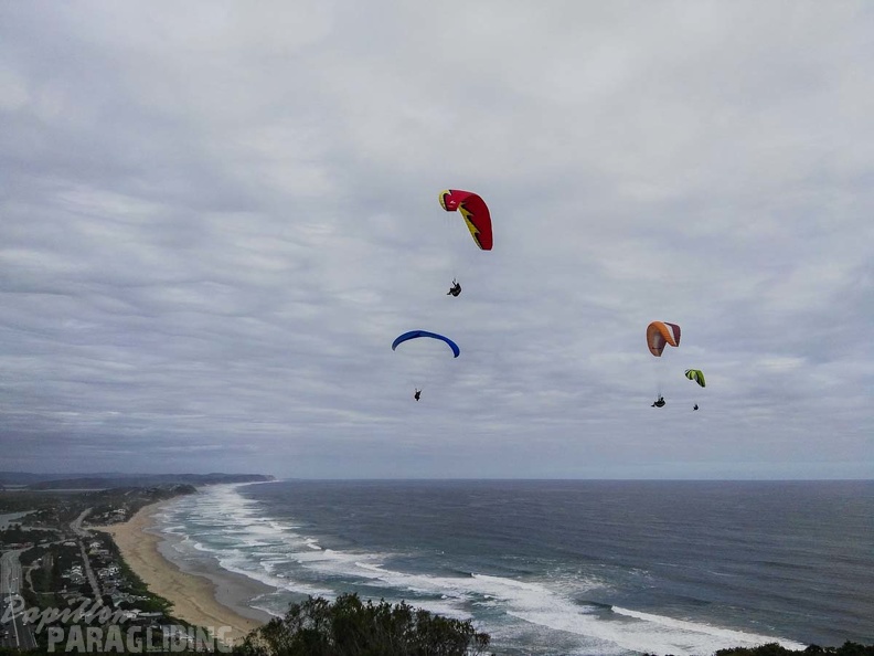 Paragliding Suedafrika FN5.17-418