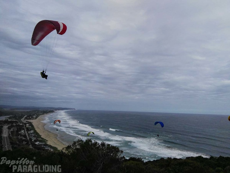 Paragliding Suedafrika FN5.17-428