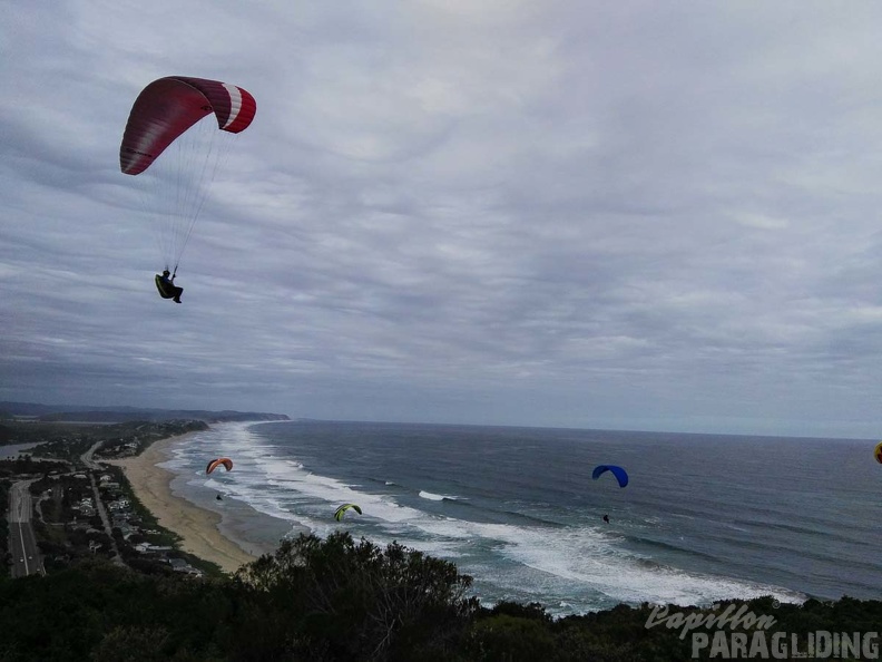 Paragliding Suedafrika FN5.17-428