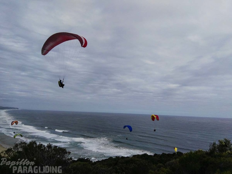 Paragliding_Suedafrika_FN5.17-429.jpg