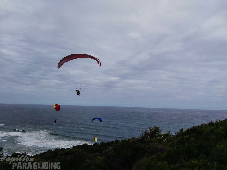 Paragliding Suedafrika FN5.17-431