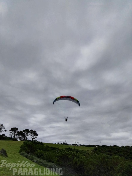 Paragliding_Suedafrika_FN5.17-437.jpg