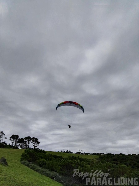 Paragliding_Suedafrika_FN5.17-437.jpg