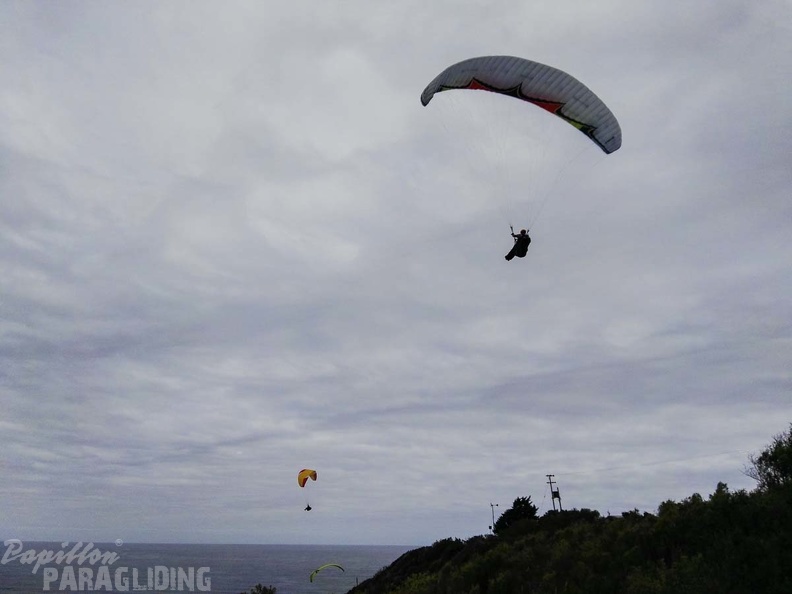 Paragliding Suedafrika FN5.17-440