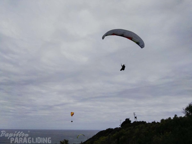 Paragliding Suedafrika FN5.17-441