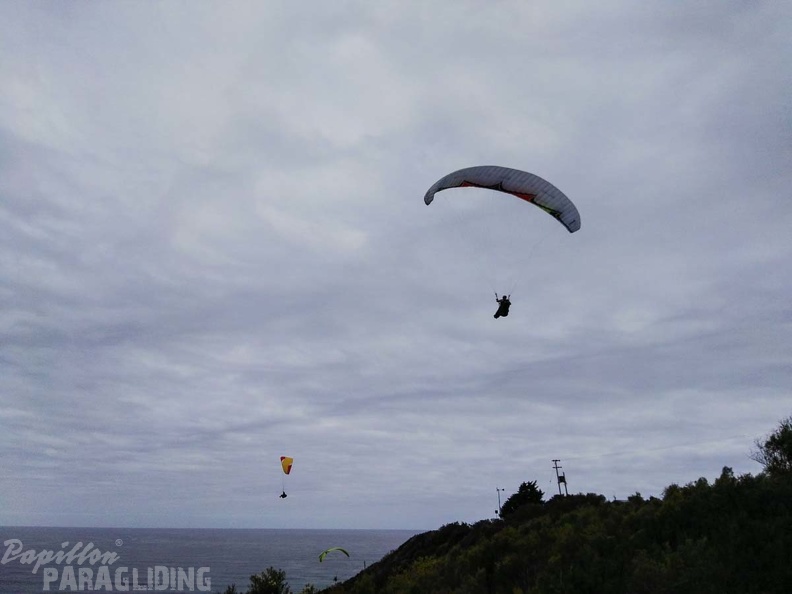 Paragliding Suedafrika FN5.17-442