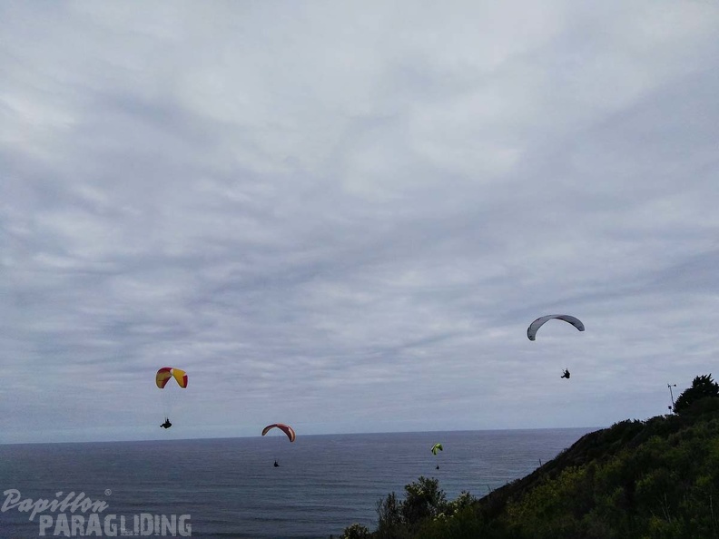 Paragliding Suedafrika FN5.17-443