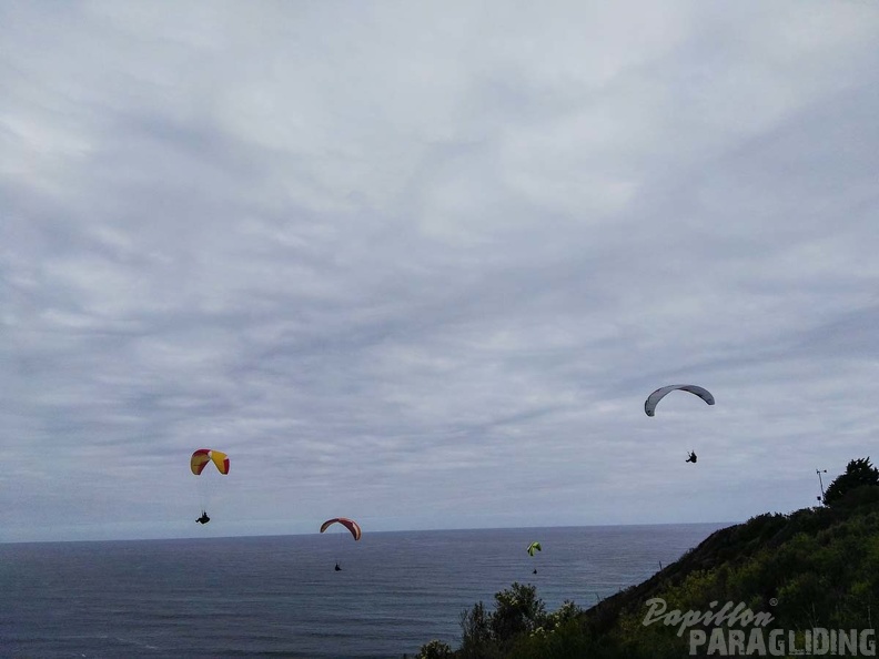 Paragliding Suedafrika FN5.17-443