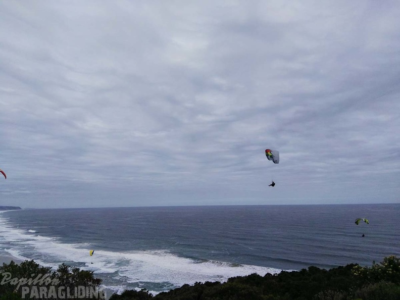 Paragliding Suedafrika FN5.17-444