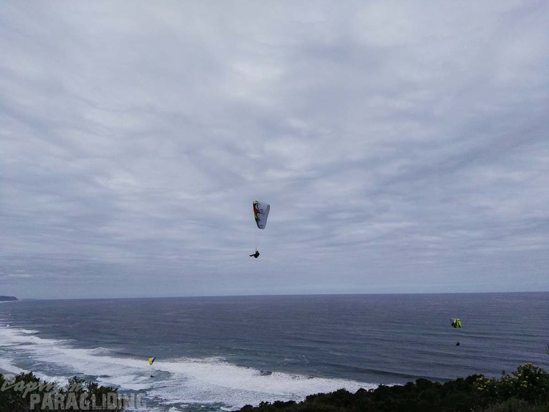 Paragliding Suedafrika FN5.17-445