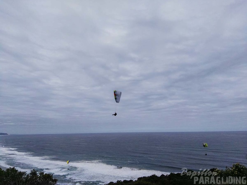 Paragliding Suedafrika FN5.17-445