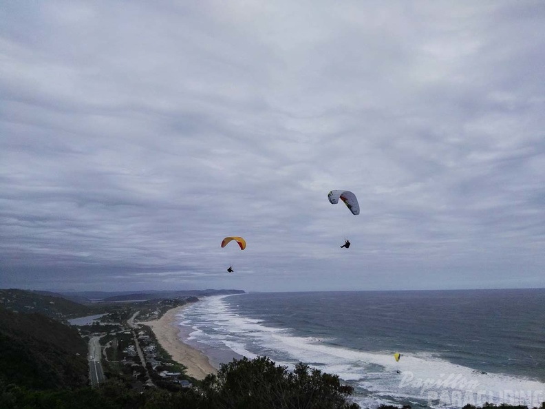 Paragliding Suedafrika FN5.17-446