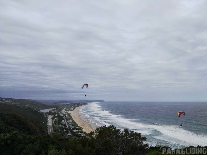 Paragliding Suedafrika FN5.17-452