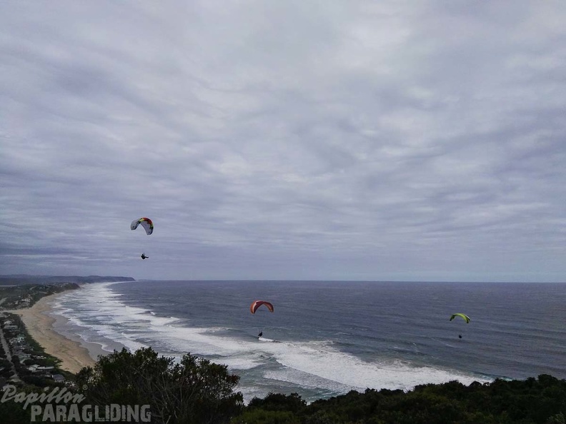 Paragliding_Suedafrika_FN5.17-453.jpg
