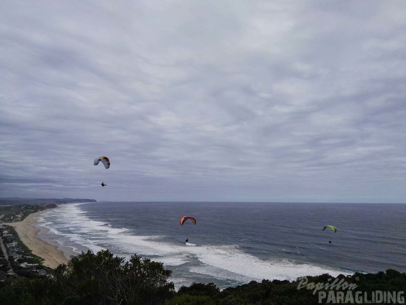 Paragliding_Suedafrika_FN5.17-453.jpg