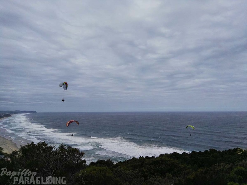 Paragliding_Suedafrika_FN5.17-454.jpg
