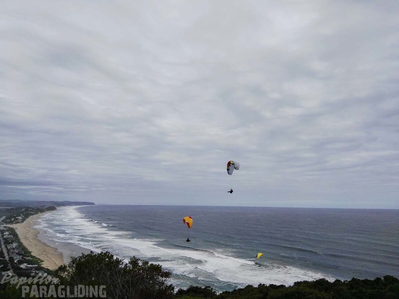 Paragliding Suedafrika FN5.17-457