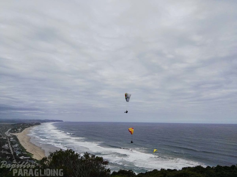 Paragliding Suedafrika FN5.17-458