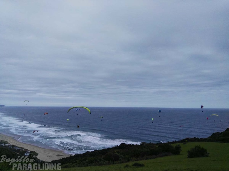 Paragliding Suedafrika FN5.17-467
