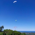 Paragliding Suedafrika FN5.17-499