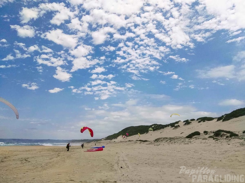 Paragliding_Suedafrika_FN5.17-523.jpg