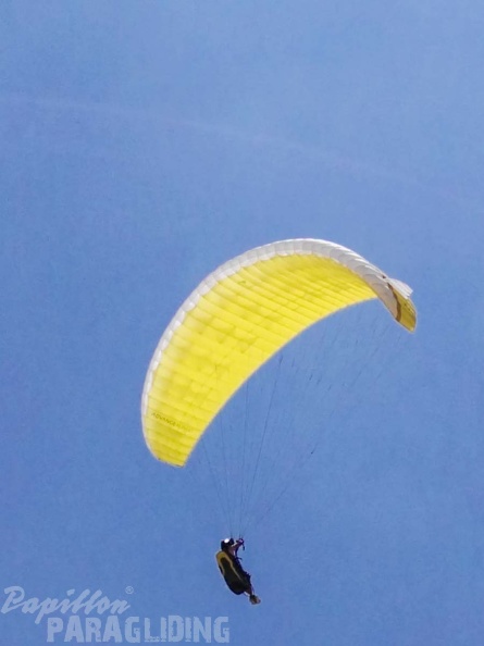 Paragliding Suedafrika FN5.17-532