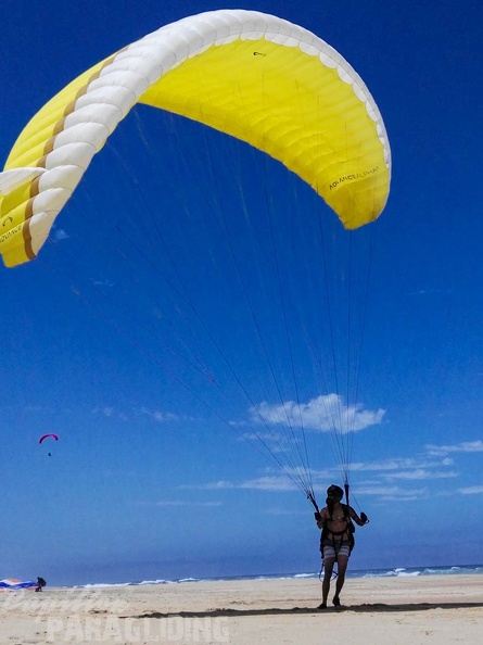 Paragliding Suedafrika FN5.17-543