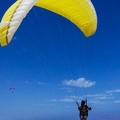 Paragliding Suedafrika FN5.17-543