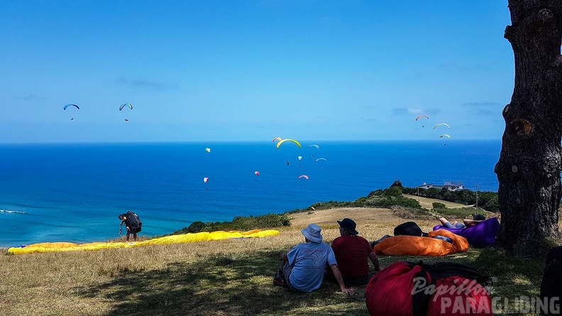 FN3.18 Suedafrika-Paragliding-Papillon-104