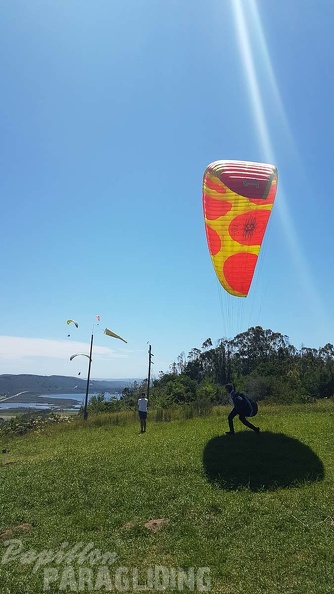 Paragliding-Suedafrika-180