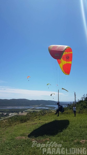 Paragliding-Suedafrika-181