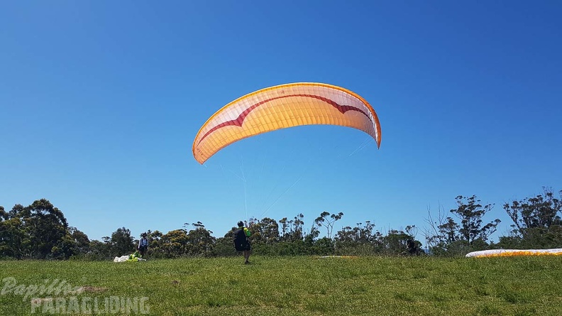 Paragliding-Suedafrika-192