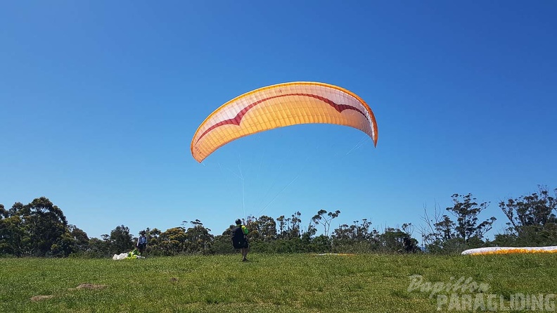 Paragliding-Suedafrika-192