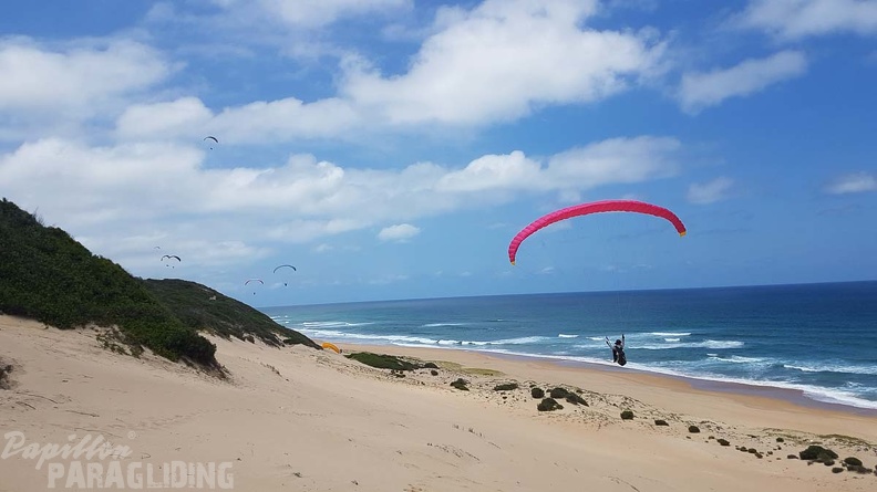 Paragliding-Suedafrika-232