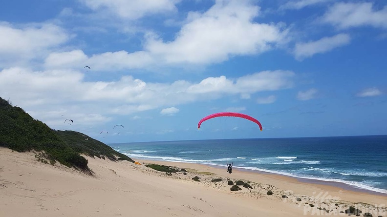 Paragliding-Suedafrika-233