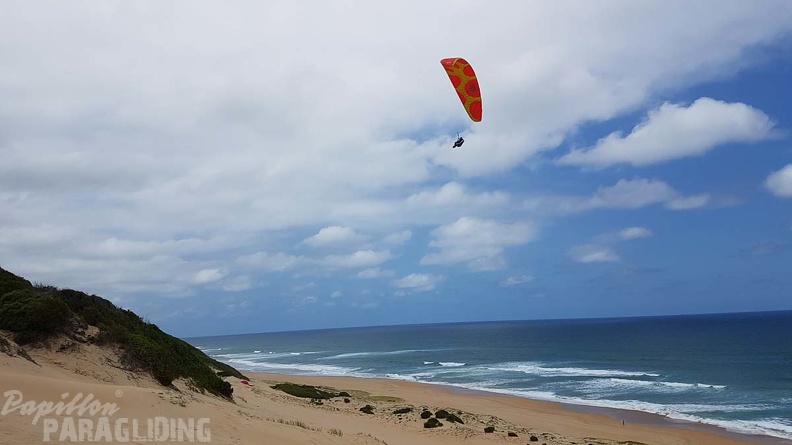 Paragliding-Suedafrika-242