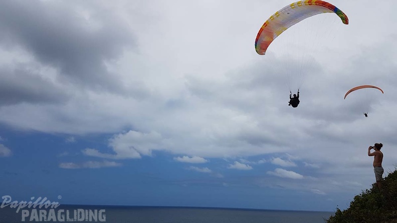 Paragliding-Suedafrika-261