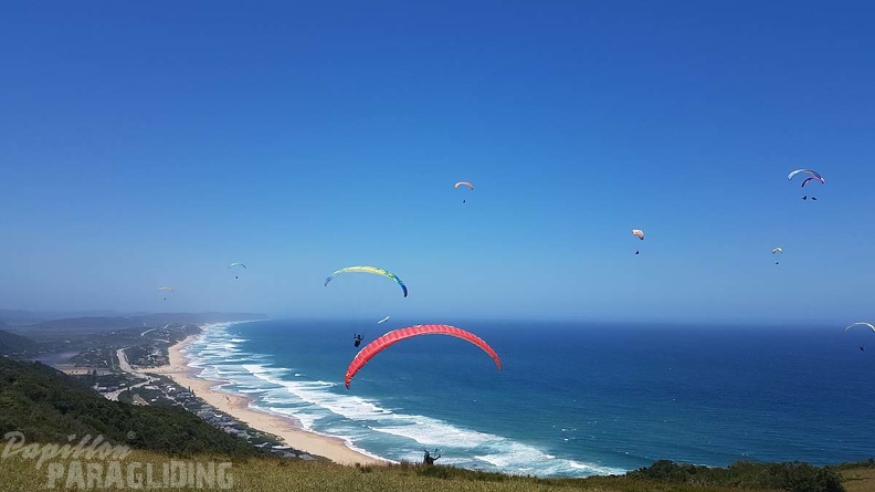 Paragliding-Suedafrika-324.jpg